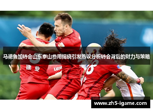 马德鲁加转会山东泰山费用揭晓引发热议分析转会背后的财力与策略 马德鲁加转会山东泰山费用揭晓引发热议分析转会背后的财力与策略
